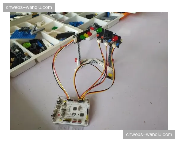 春节期间水步镇各村文体活动同步开展，排球篮球赛事轮番上演